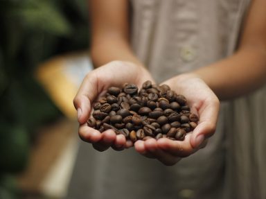 فواید خوردن قهوه